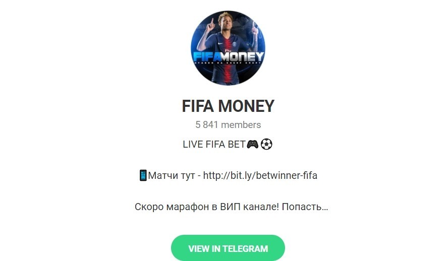 Телеграм канал каппера Fifa Money