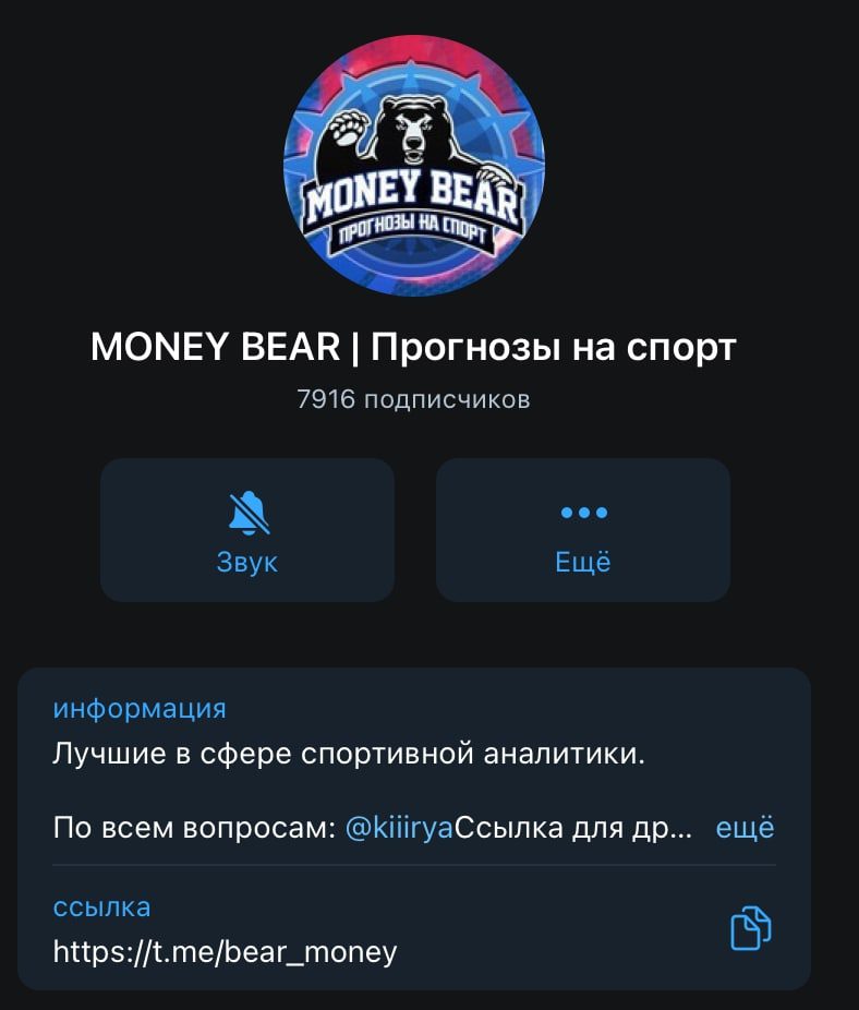 Telegram канал MONEY BEAR