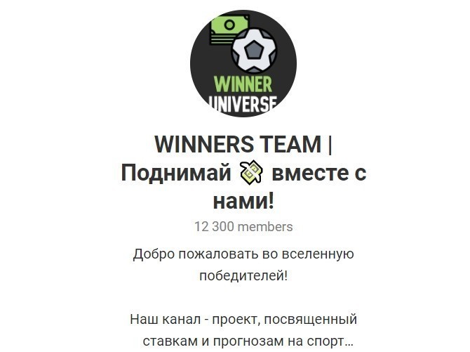  Отзывы о Winners Team - Телеграмм канал