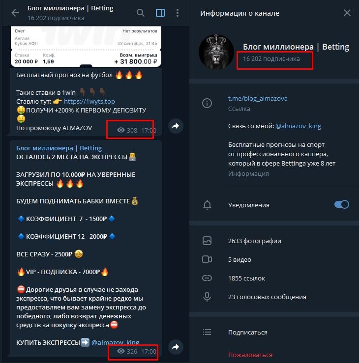 Просмотры и подписчики Телеграмм-канала Блог миллионера | Betting