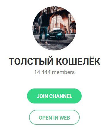 Толстый Кошелек — Telegram проект Александра Гурина