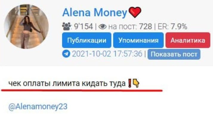 Про оплату Alena Money