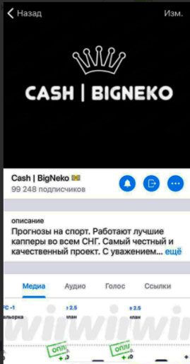 Cash BigNeko в Телеграмм