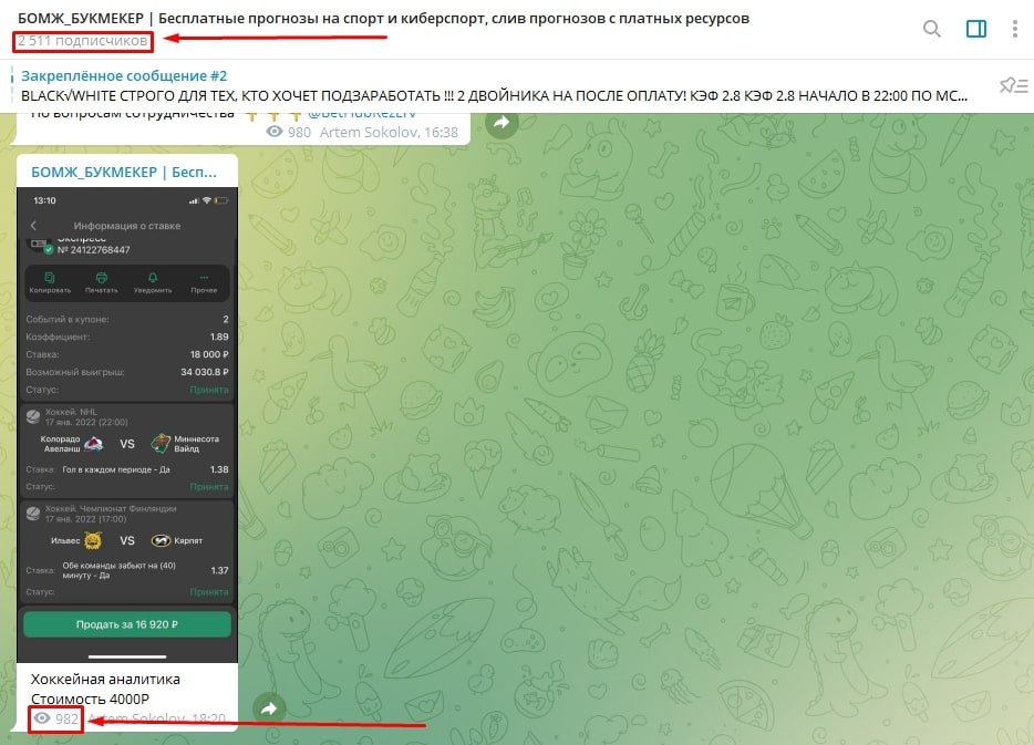 Просмотры и подписчики Телеграмм Бомж Букмекер