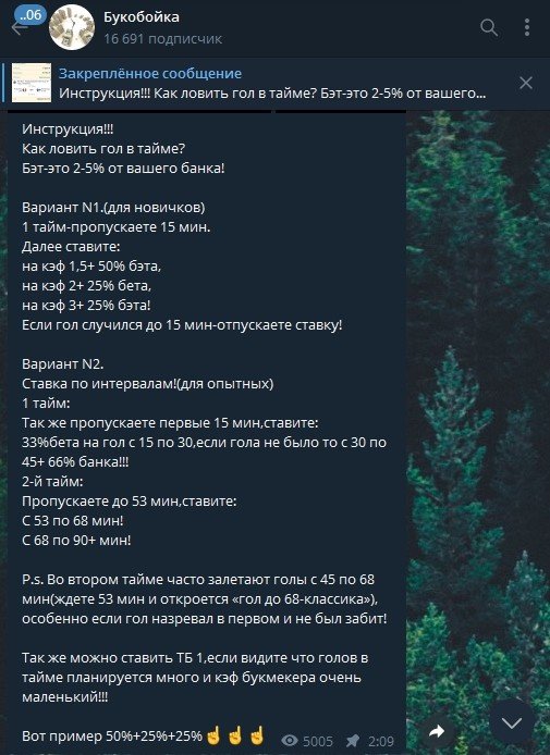 Инструкция от Букобойка в Телеграмм
