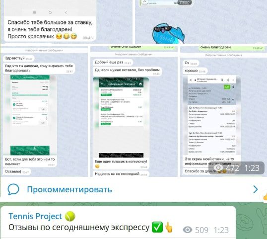 Tennis Progect - отзывы