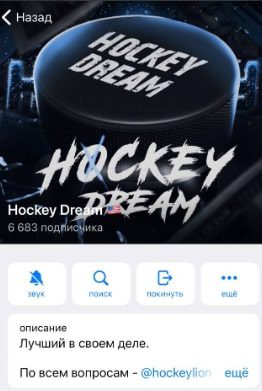 Телеграм-канал Hockey Dream