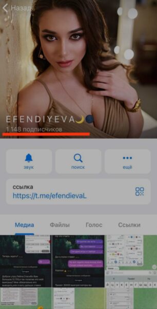 Телеграмм проект EFENDIYEVA