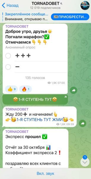 Канал TORNADOBET в телеграмме