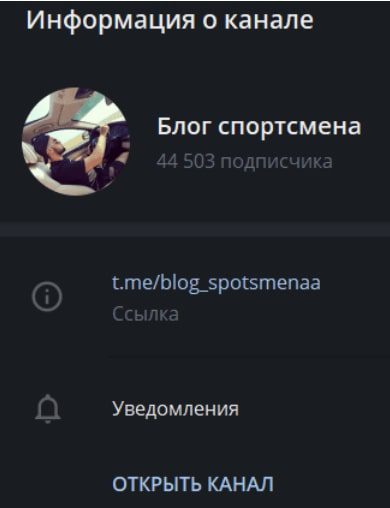 Блог Спортсмена Информация о канале