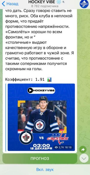 Проект Hockey vibe