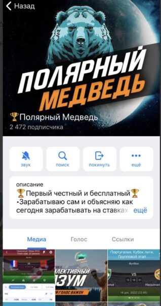 Телеграм Полярный Медведь