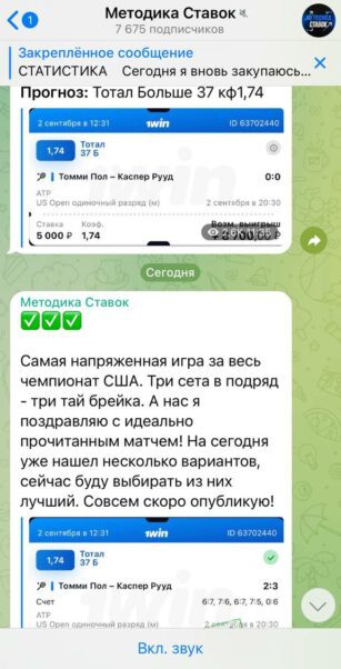 Методика Ставок в тг