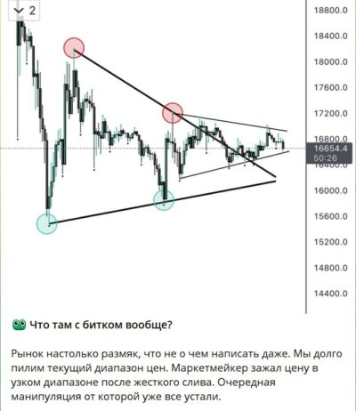 Проект Холдер и Точка