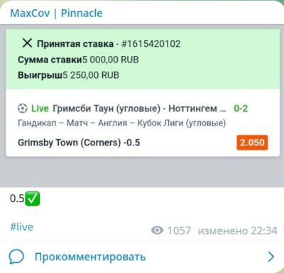 Проект MaxCov