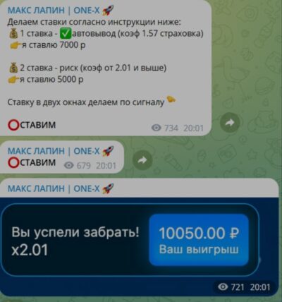 Проект Макс Лапин One x