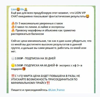 Lion Life условия