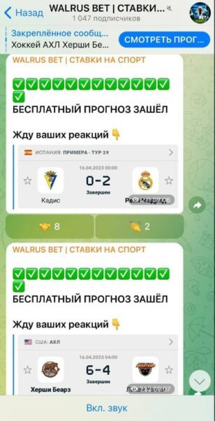 WALRUS BET статистика