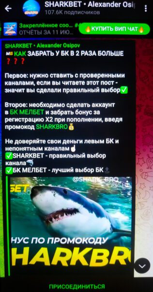 Sharkbet Александр Осипов