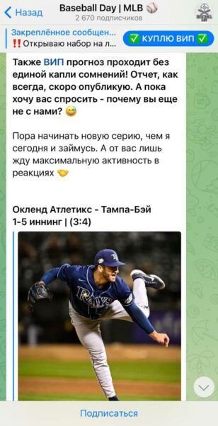 Проект Baseball Day